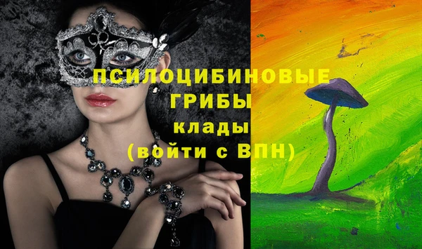 соль курить ск Арсеньев