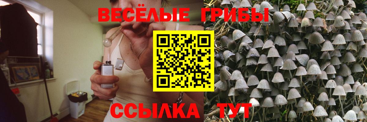 Псилоцибиновые грибы мицелий  Галлюциногенные грибы мицелий  Вход с VPN  Сарапул 